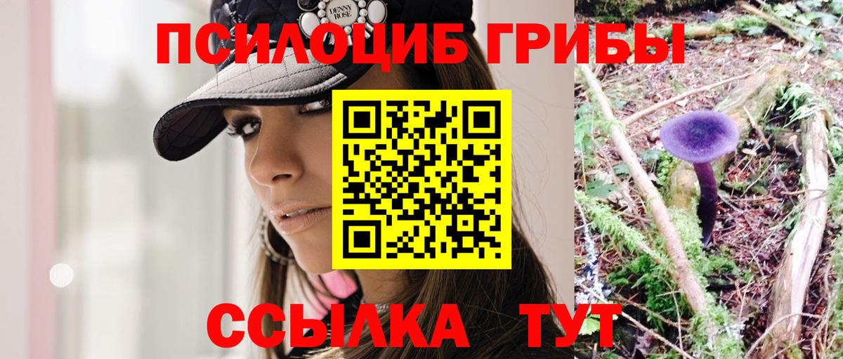 Псилоцибиновые грибы мухоморы Люберцы