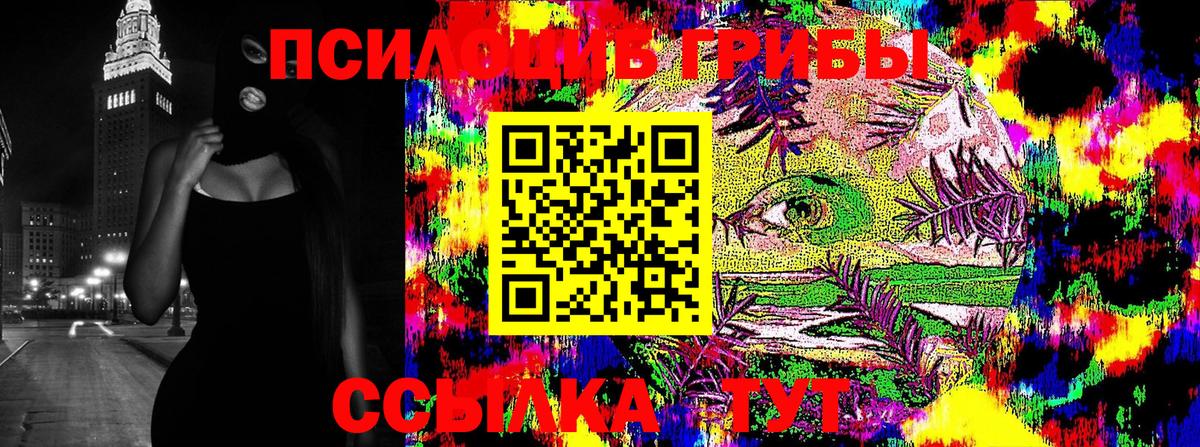 Люберцы  Галлюциногенные грибы Psilocybine cubensis  Вход с VPN 