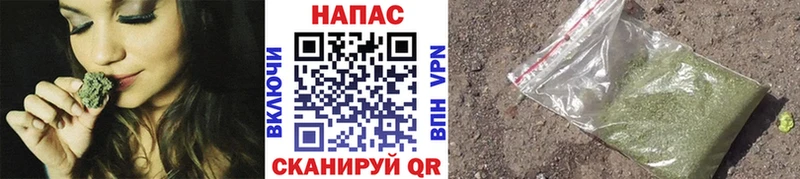 Канабис SATIVA & INDICA  магазин продажи   Люберцы 